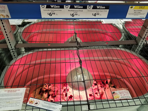 Home Improvement Store «Wilco Farm Store», reviews and photos, 1901A NE 162nd Ave, Vancouver, WA 98684, USA