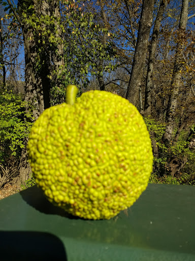 Amusement Park «Meadowmere Park», reviews and photos, 13610 Byars Rd, Grandview, MO 64030, USA