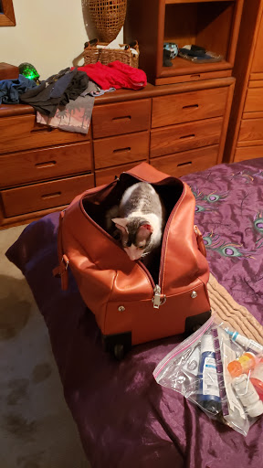 Pet Supply Store «PetSmart», reviews and photos, 14290 Plymouth Ave, Burnsville, MN 55337, USA