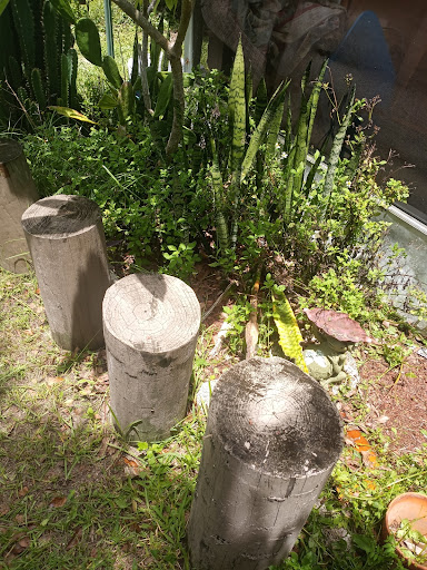 Golf Course «Tarpon Springs Golf Course», reviews and photos, 1310 S Pinellas Ave, Tarpon Springs, FL 34689, USA