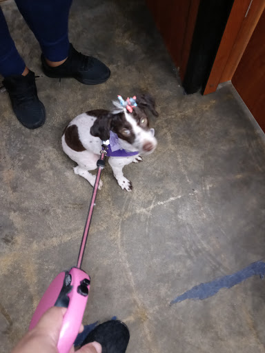 Pet Supply Store «PetSmart», reviews and photos, 1986 Mt Zion Rd, Morrow, GA 30260, USA