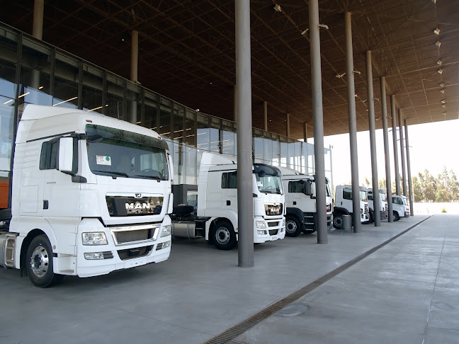 Opiniones de Zentrum Camiones en Colina - Concesionario de automóviles