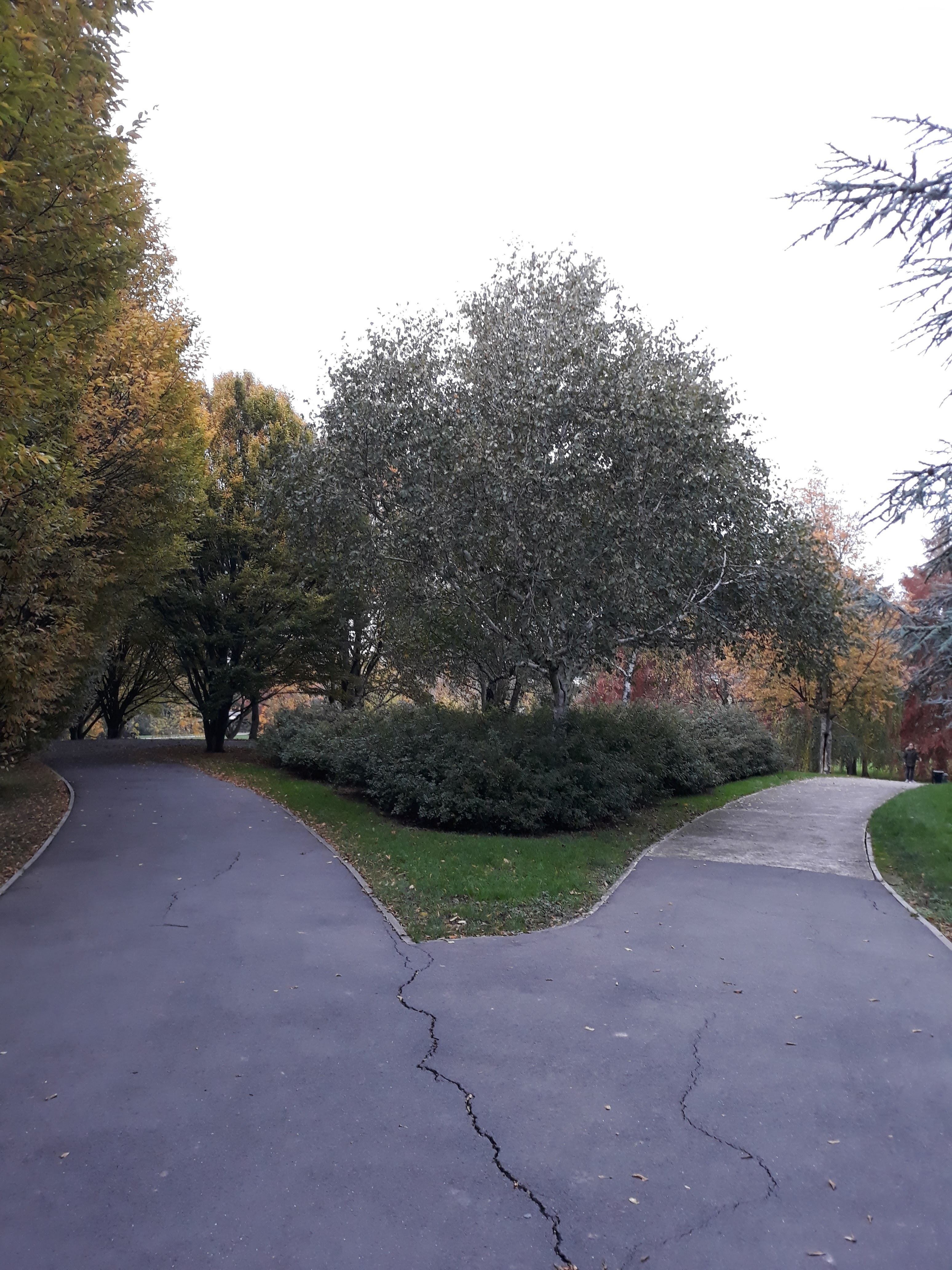Photo n° 1 de l'avis de Ninfa. fait le 18/11/2019 à 18:40