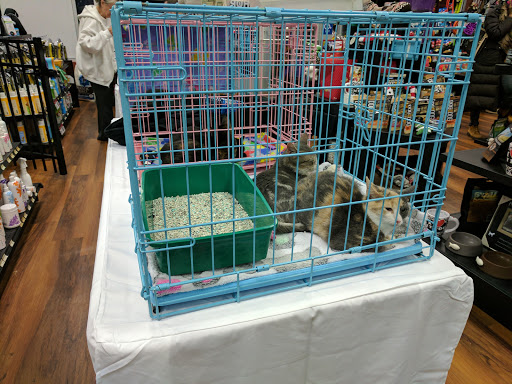 Pet Store «Pet Valu», reviews and photos, 2290 Central Park Ave, Yonkers, NY 10701, USA