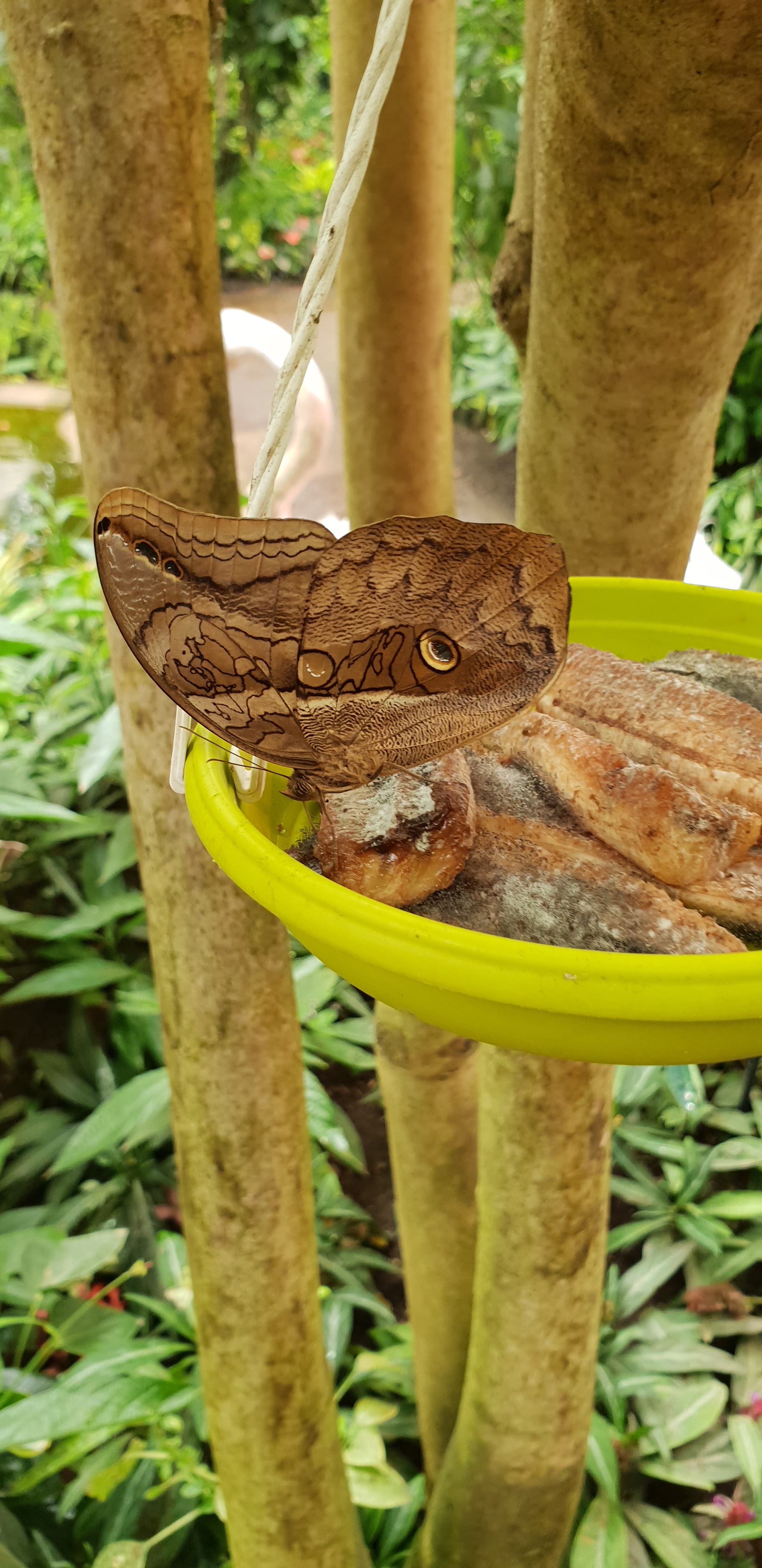 Photo n° 1 de l'avis de laurent.u fait le 23/05/2018 à 09:46