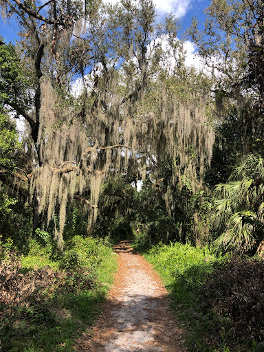 Pine Island Ridge Natural Area