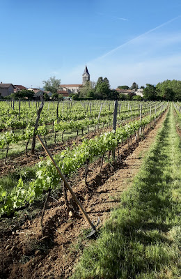 Domaine Pradelle à Chanos-Curson