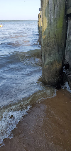 State Park «Hammerman Area Beach», reviews and photos, 7200 Graces Quarters Road, Middle River, MD 21220, USA