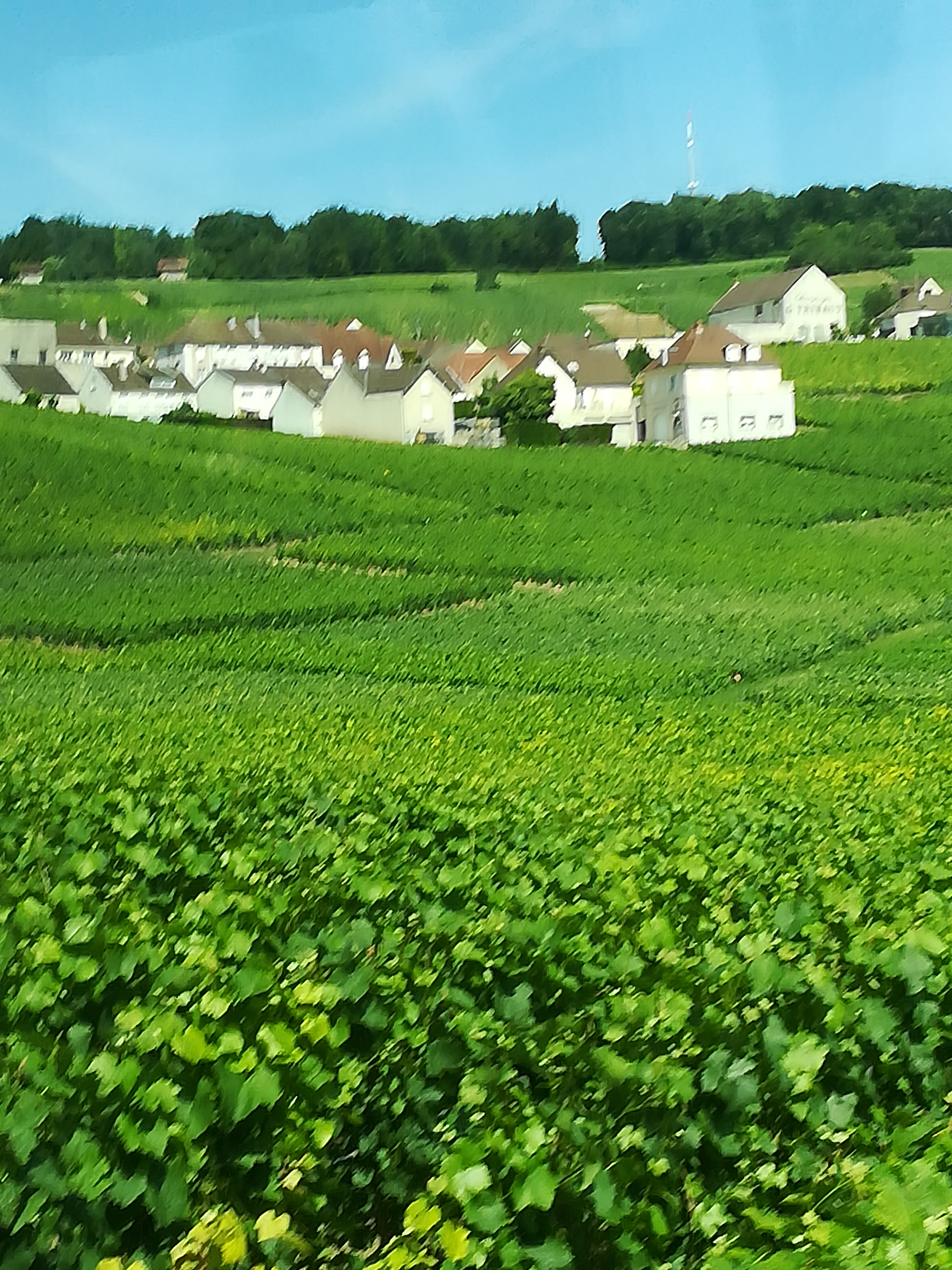 Photo n° 8 de l'avis de Rudi.o fait le 24/06/2019 à 20:44