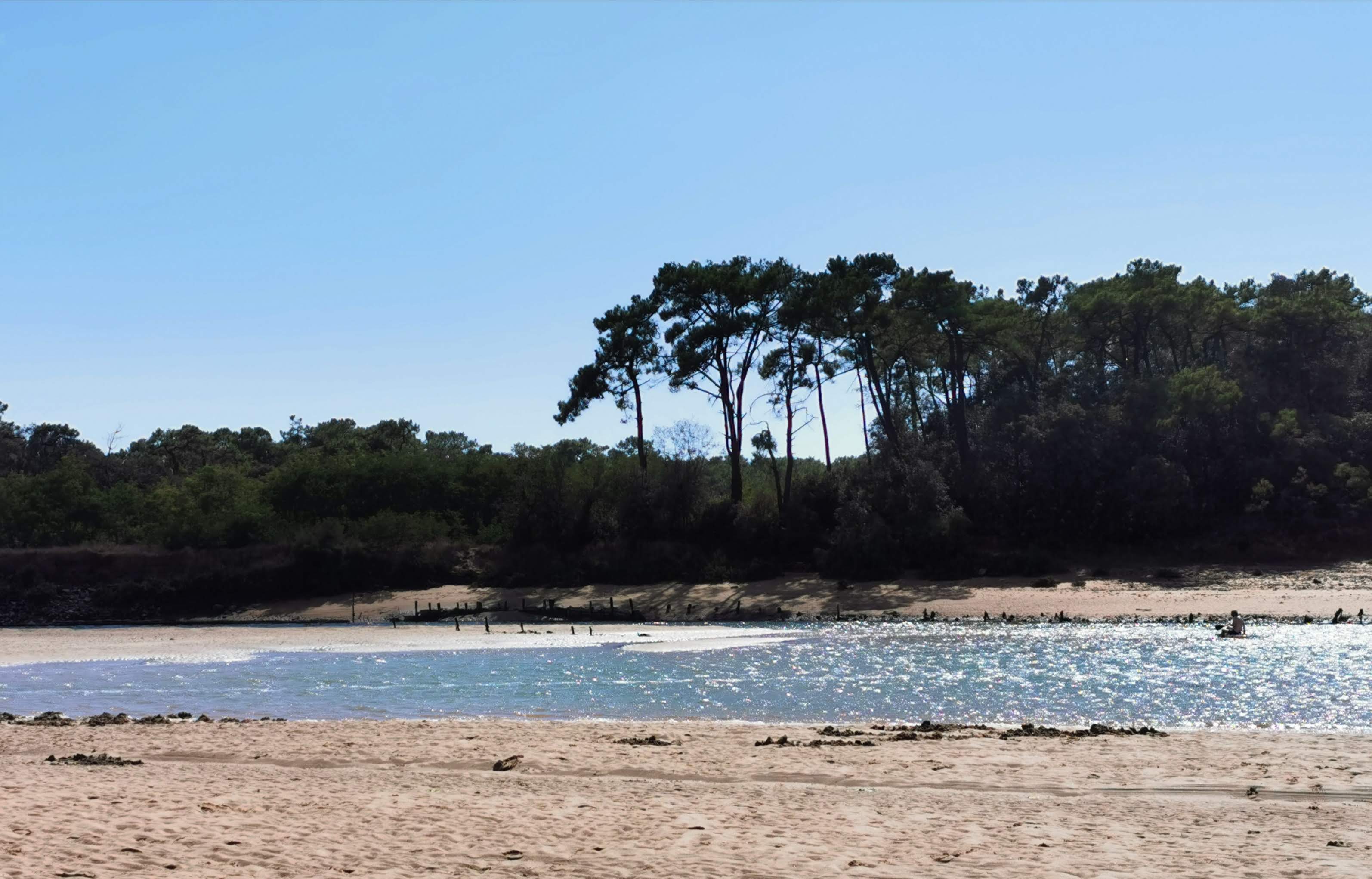Photo n° 3 de l'avis de Sylvie.z fait le 19/09/2019 à 10:49