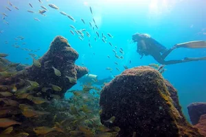 Papuan Mergulho & Turismo image
