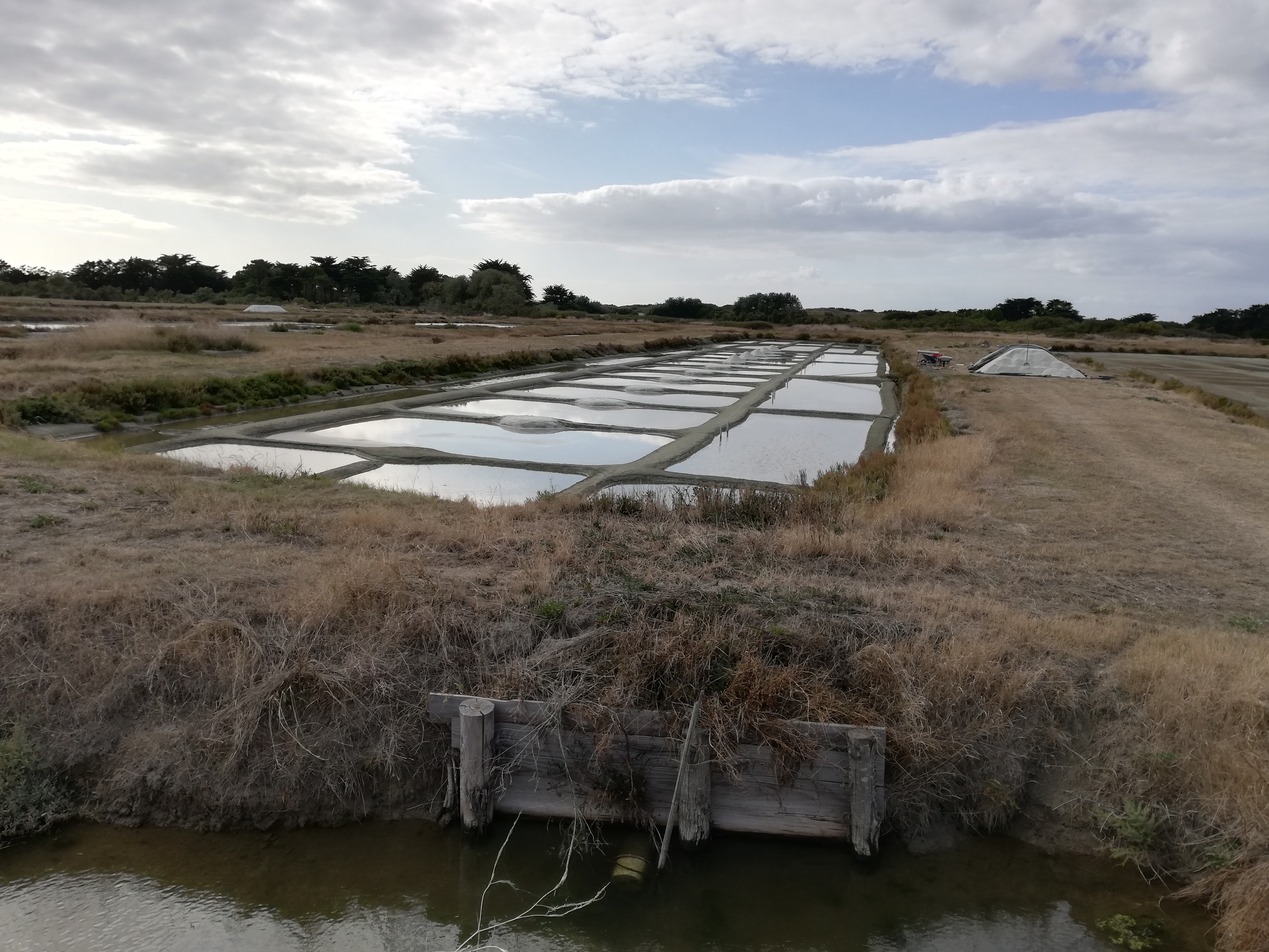 Photo n° 25 de l'avis de Bernard.O fait le 10/09/2019 à 02:01