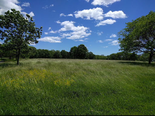 Park «Morse Park», reviews and photos, Morse Ave, West Haven, CT 06516, USA