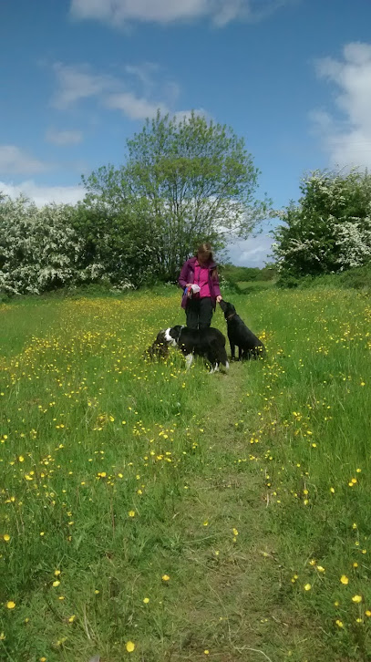 Huggles Pet Care - Chesterfield