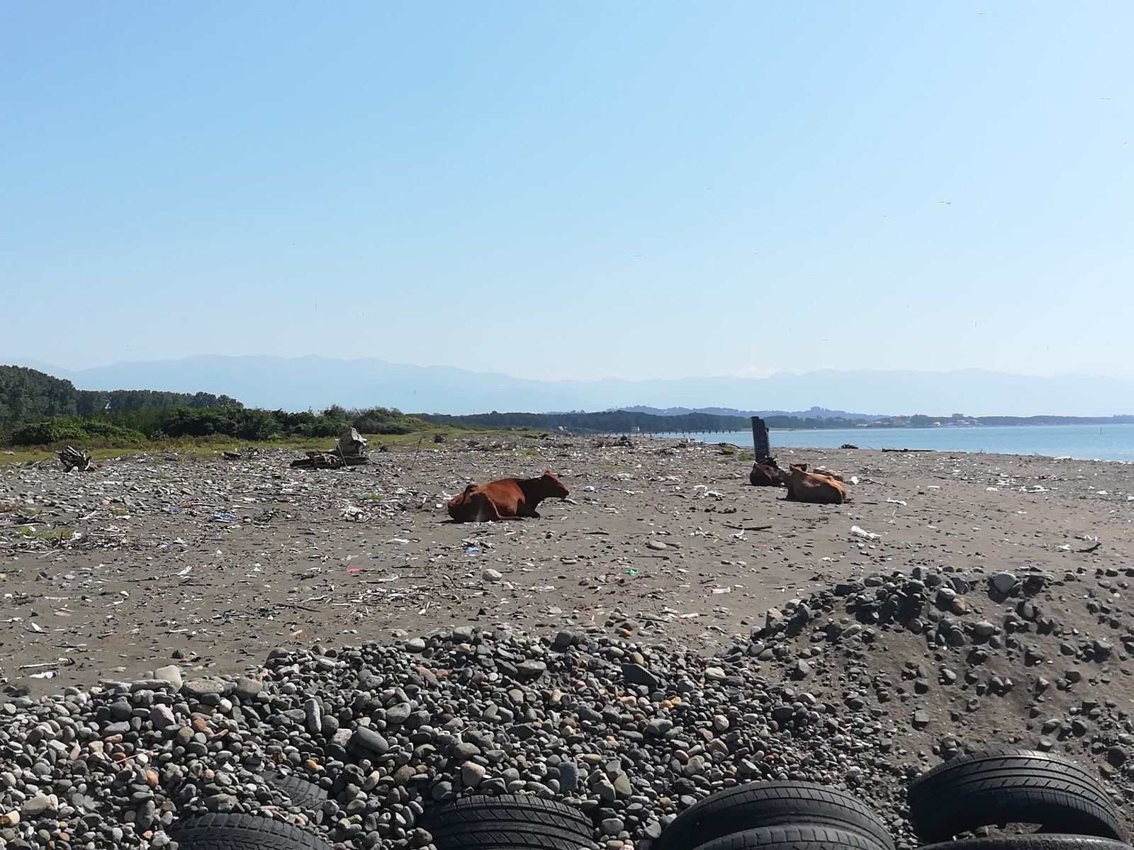 Foto av Grigoleti beach med låg nivå av renlighet