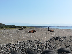 Zdjęcie Grigoleti beach dziki obszar