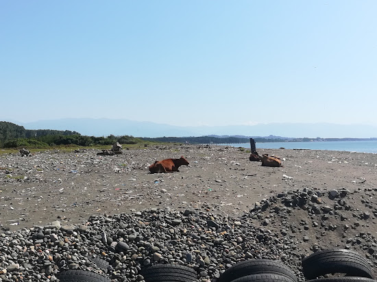 Grigoleti beach