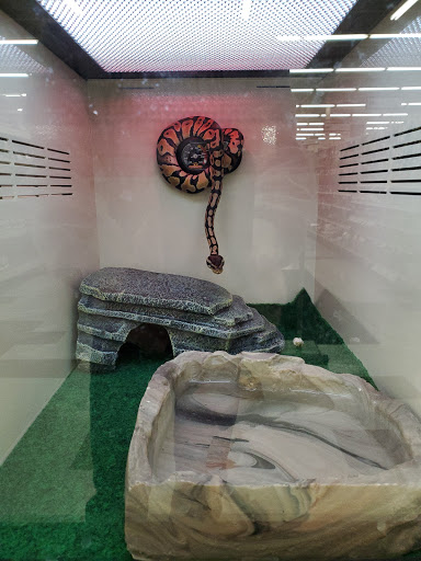 Pet Supply Store «Pet Supplies Plus», reviews and photos, 5394 Kemps River Dr Suite 101, Virginia Beach, VA 23464, USA