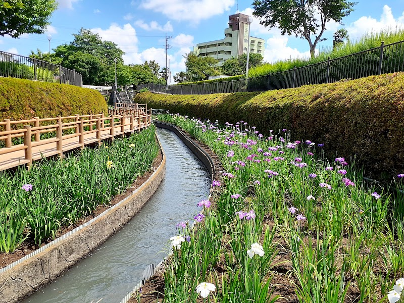 分水堀緑道