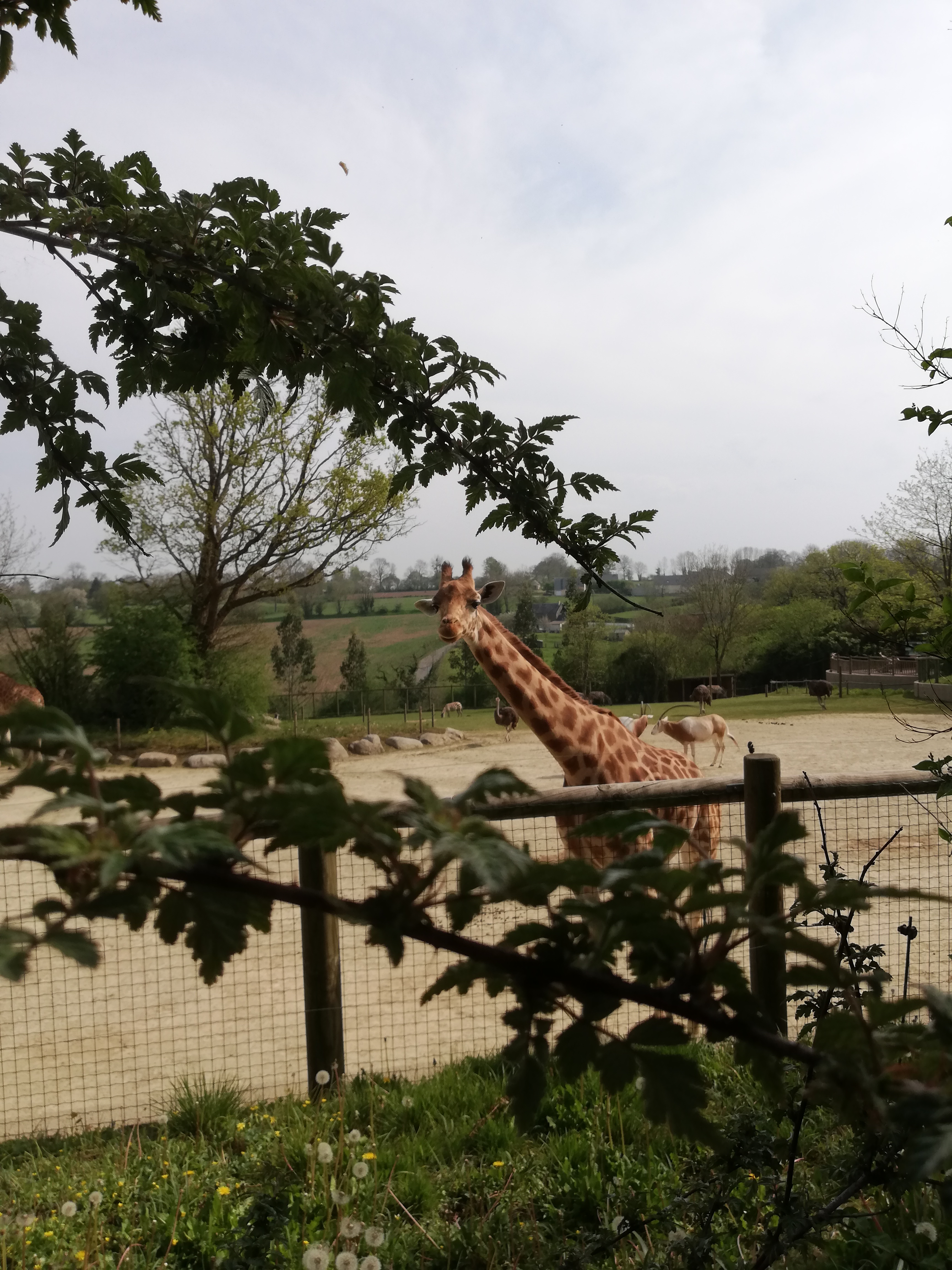 Photo n° 4 de l'avis de Jérôme.z fait le 21/04/2019 à 16:31