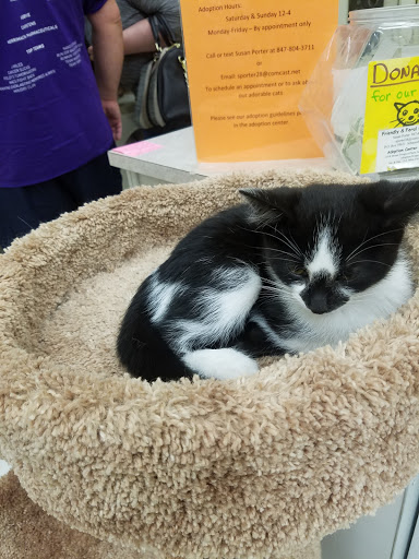 Pet Supply Store «Petco Animal Supplies», reviews and photos, 1018 Mt Prospect Plaza, Mt Prospect, IL 60056, USA