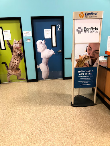 Pet Supply Store «PetSmart», reviews and photos, 190 Rt 10 West, East Hanover, NJ 07936, USA