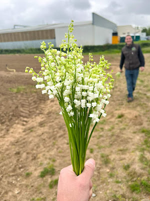 Scea Bouyer à Divatte-sur-Loire