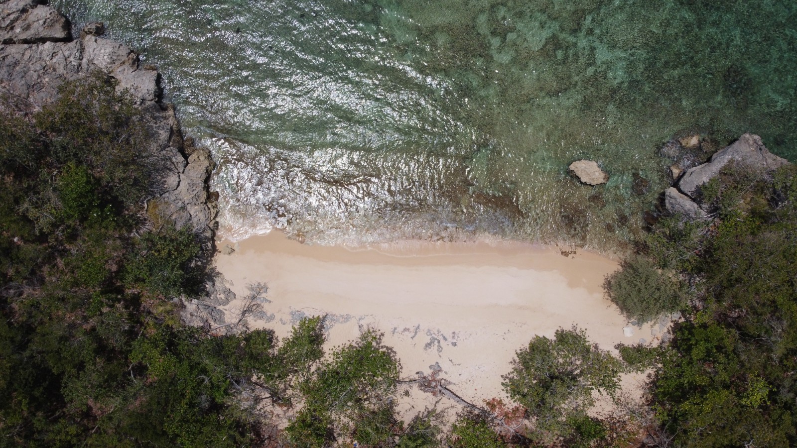 Fotografija Playa de los Enamorados z visok stopnjo čistoče