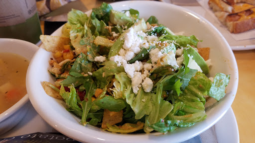 Sandwich Shop «Panera Bread», reviews and photos, 920 Wolcott St, Waterbury, CT 06705, USA