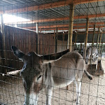 Photo n°1 de l'avis de Fabio.a fait le 30/08/2020 à 19:35 sur le  Parc Gallorose à Loc. Cedrino