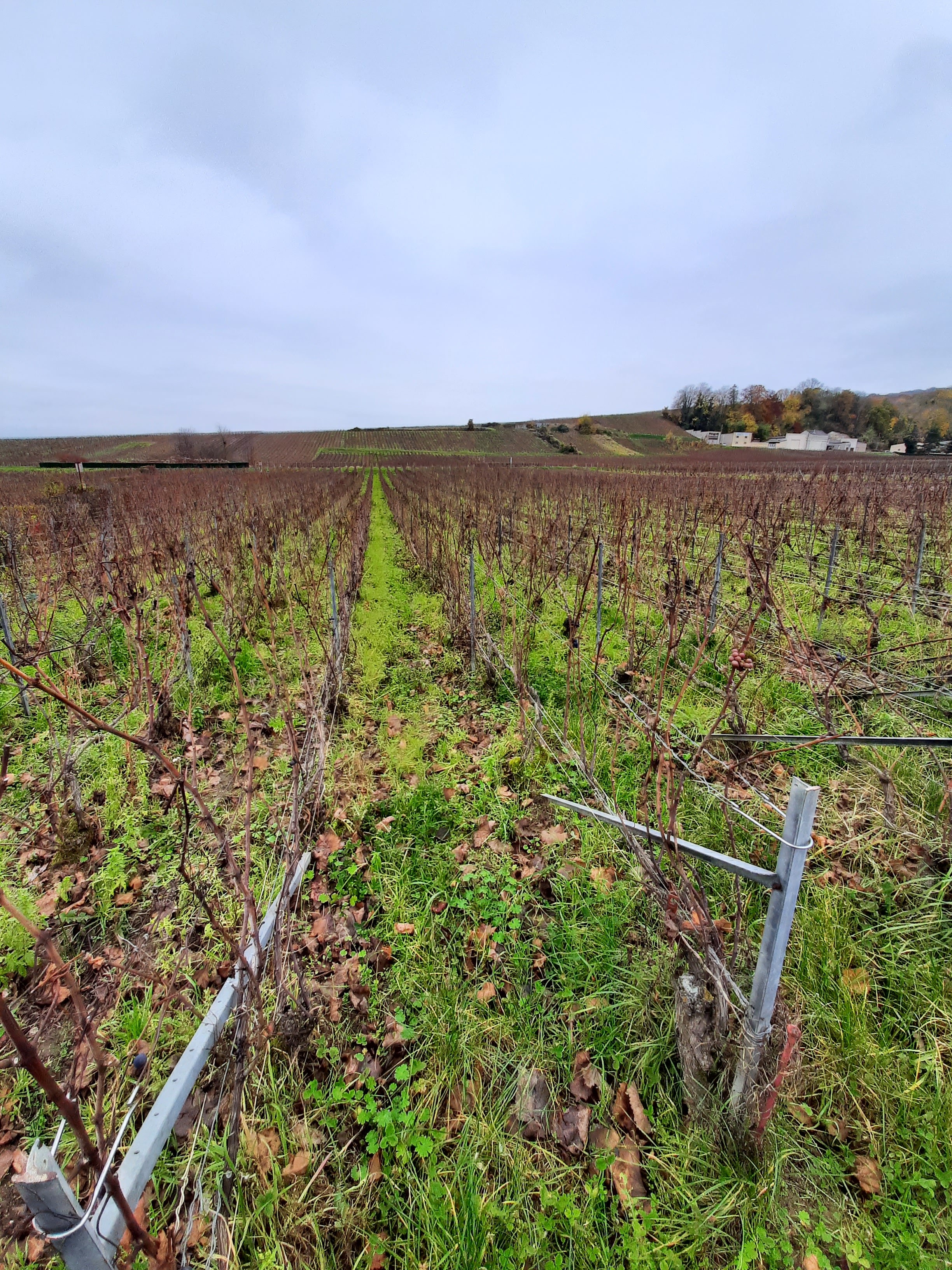 Photo n° 45 de l'avis de Stefano.a fait le 15/11/2021 à 18:24