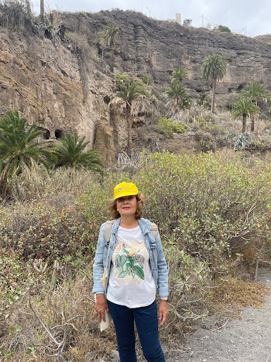 Saneamientos Noroeste, S.l.