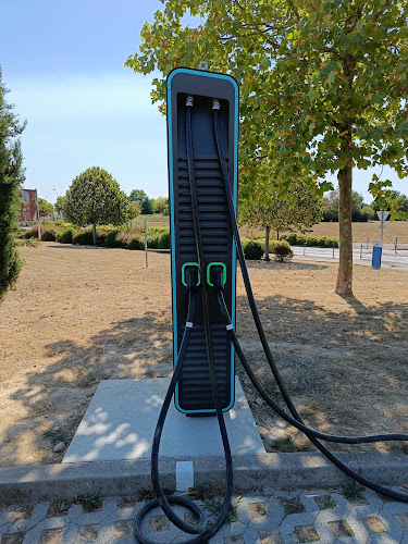 Borne de recharge de véhicules électriques ChargePoint Charging Station Bellevigny