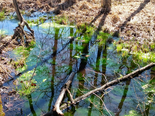 Nature Preserve «Leonard Preserve», reviews and photos, N Union St, Manchester, MI 48158, USA