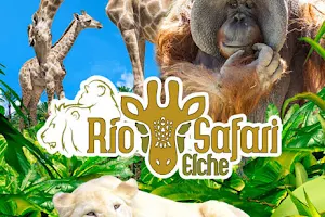 Río Safari Elche image