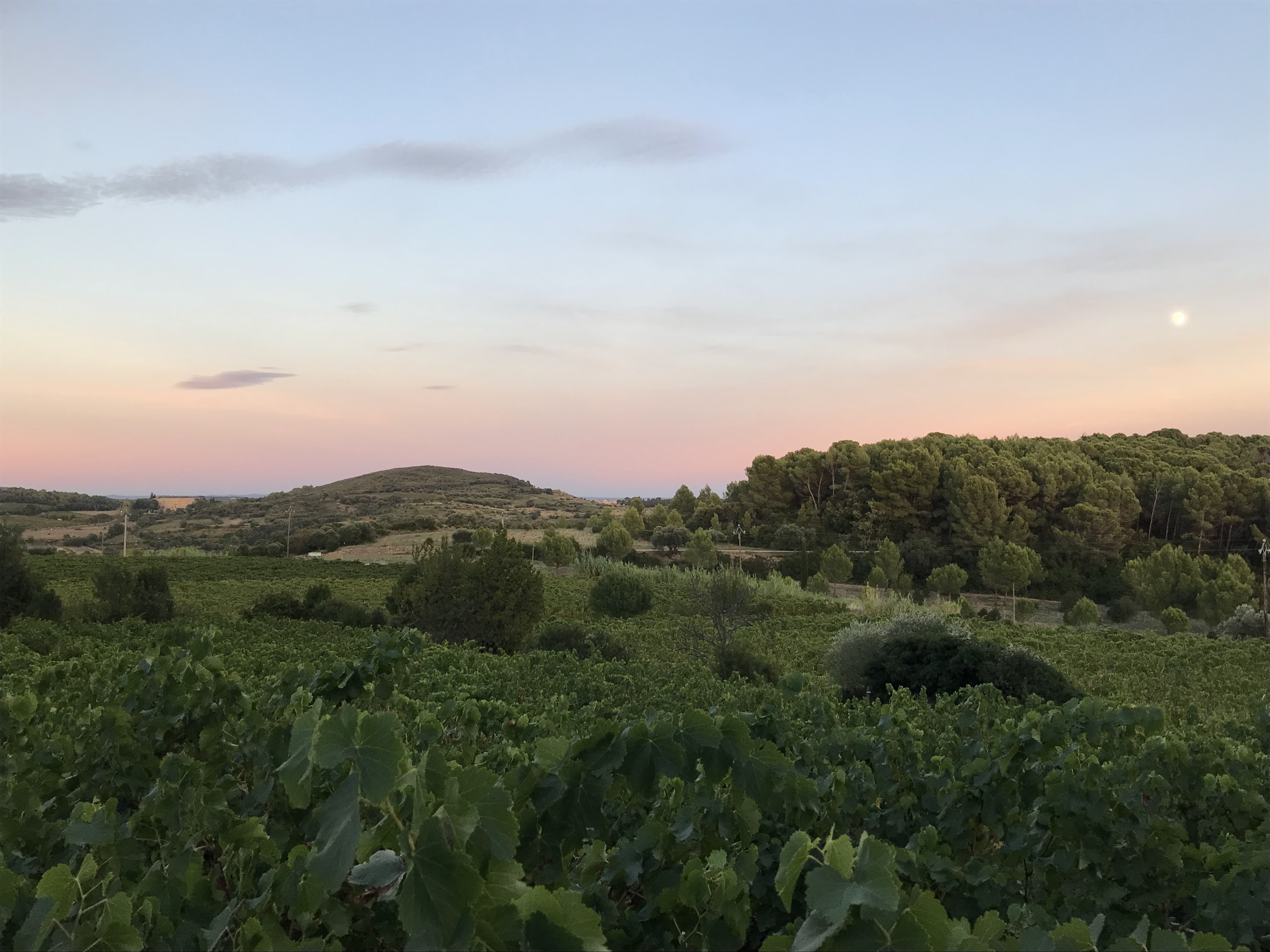 Photo n° 9 de l'avis de Foard.o fait le 23/09/2018 à 17:06