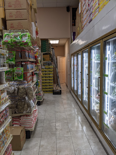 Asian Grocery Store «Lien Hoa Oriental Market», reviews and photos, 3692 W Waters Ave, Tampa, FL 33614, USA