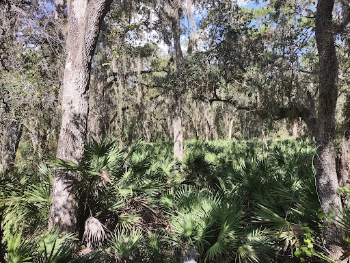 Recreation Center «Cypress Forest Recreation Center», reviews and photos, 650 Pine Ave N, Oldsmar, FL 34677, USA