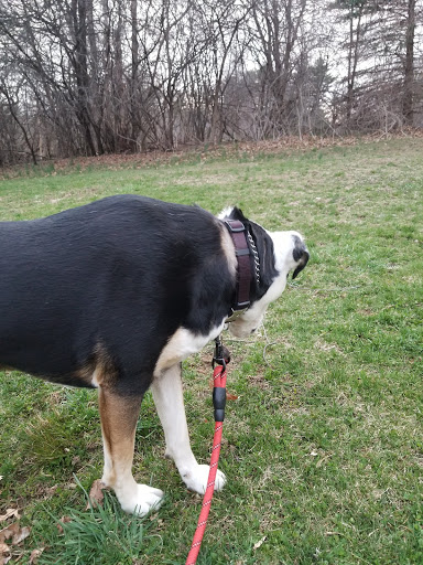 Farm «Pequitside Farm», reviews and photos, 79 Pleasant St, Canton, MA 02021, USA