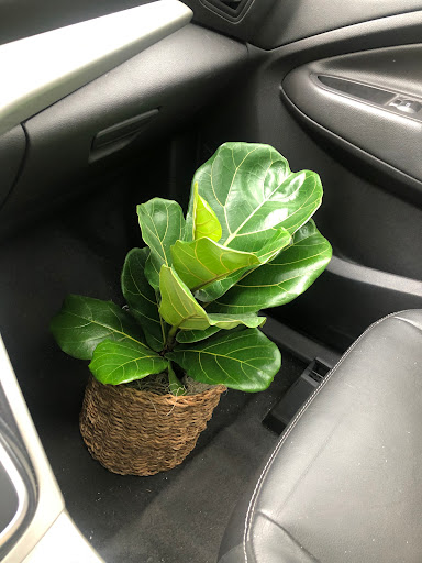 Florist «Flowerama», reviews and photos, 3111 Babcock Blvd, Pittsburgh, PA 15237, USA