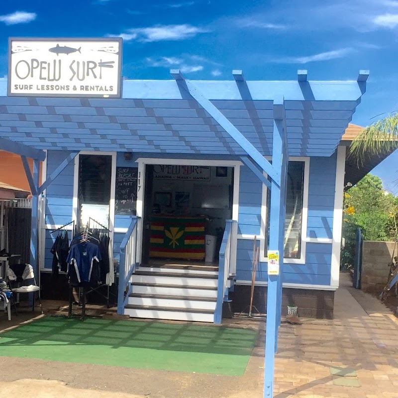 Opelu Surf School