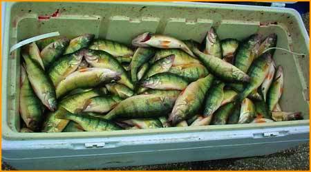 Compensator Lake Erie Fishing Charters