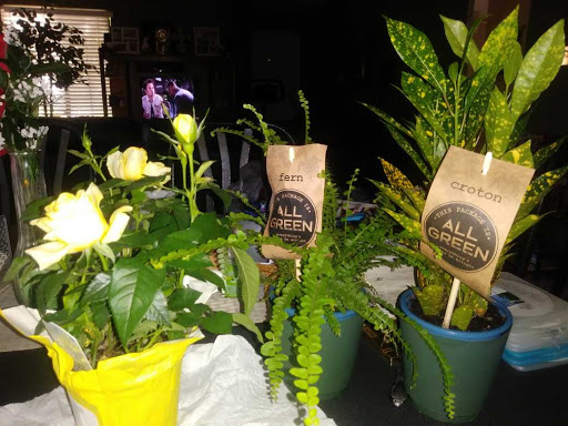 Grocery Store «Albertsons», reviews and photos, 5950 S Cooper St, Arlington, TX 76017, USA