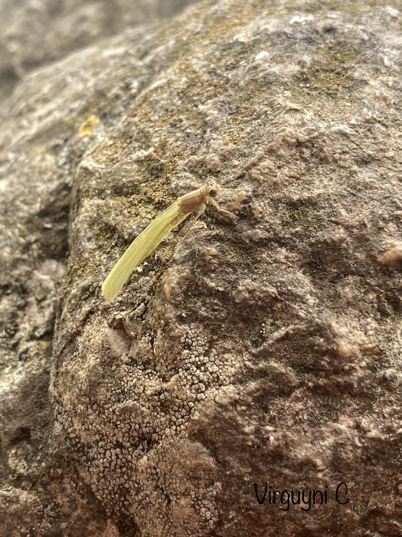 Photo n° 2 de l'avis de Virginie.n fait le 10/06/2022 à 08:34