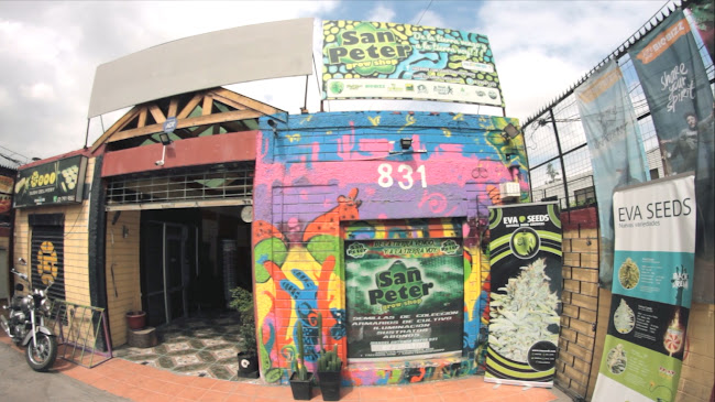 San Peter Growshop - Quilicura