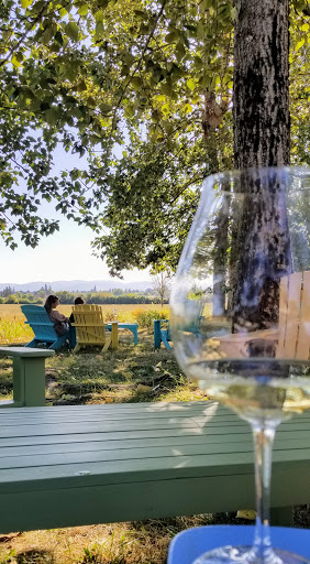 Vineyard «Keeler Estate Vineyard», reviews and photos, 5100 SE Rice Ln, Amity, OR 97101, USA
