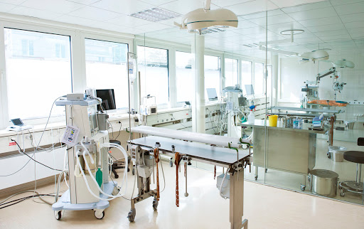 Veterinary clinic Dusseldorf center unter Düsseldorf, Nordrhein-Westfalen