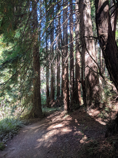 Bicycle Store «Epicenter Cycling», reviews and photos, 1730 Mission St, Santa Cruz, CA 95060, USA