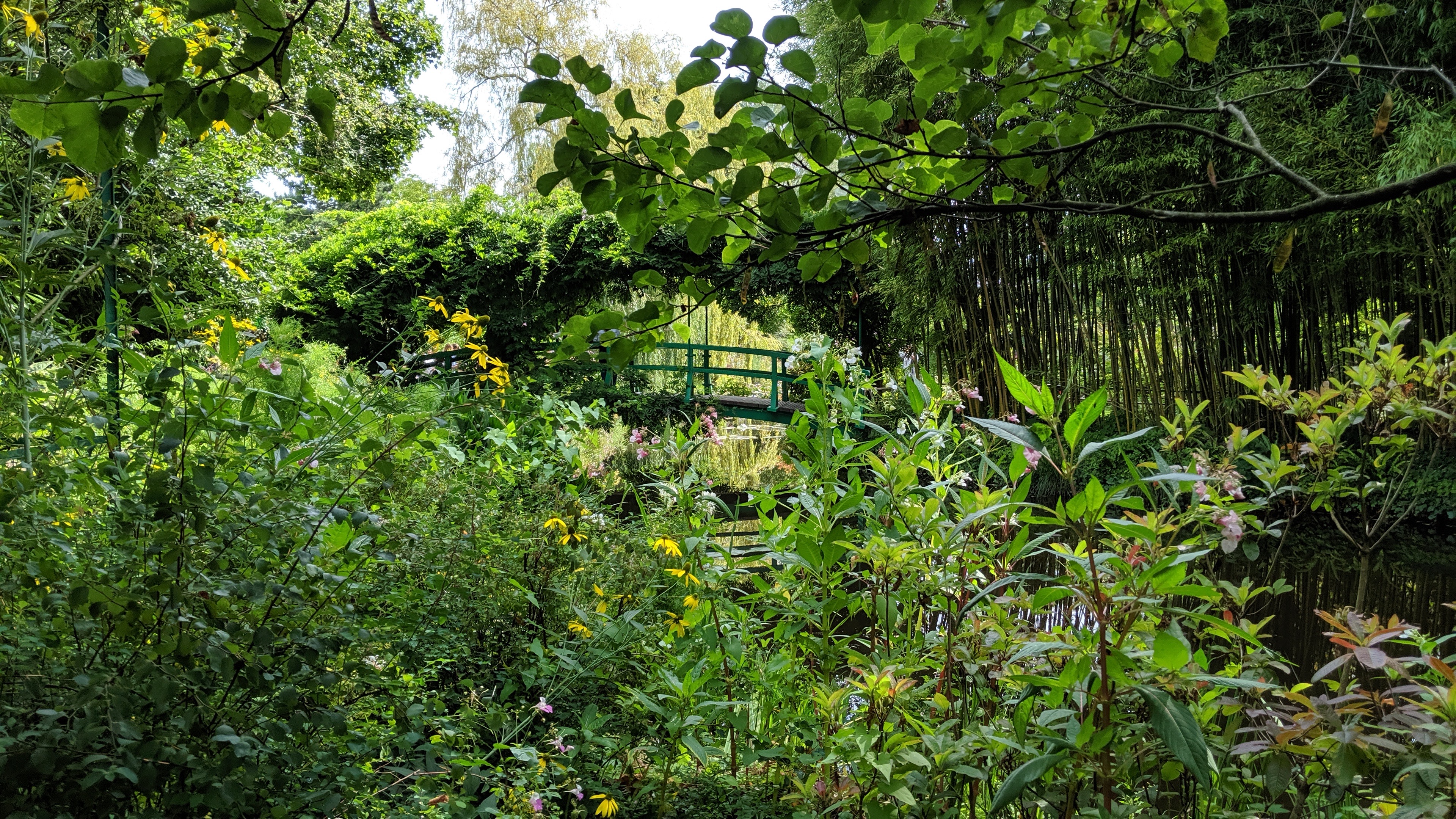 Photo n° 25 de l'avis de Tristan.a fait le 09/08/2021 à 16:22