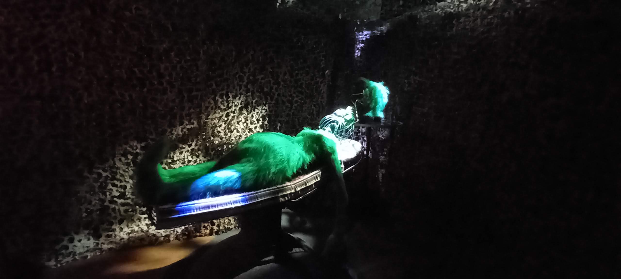 Photo n° 1 de l'avis de Evelyne. fait le 25/08/2019 à 07:14